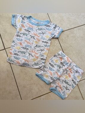 Milkberry Bamboo Dinosaur Pajamas